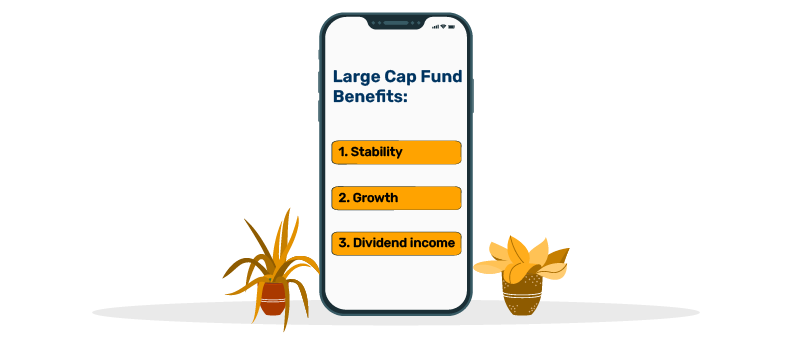 large and mid cap fund 