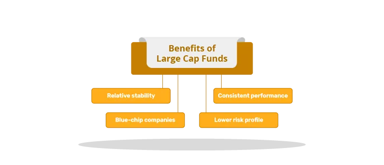 large cap fund