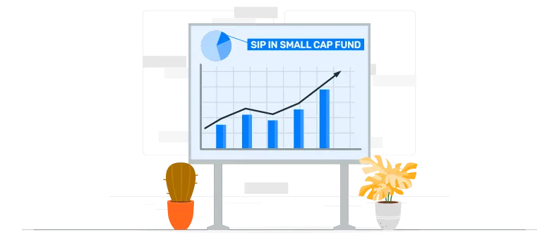 small cap fund? 