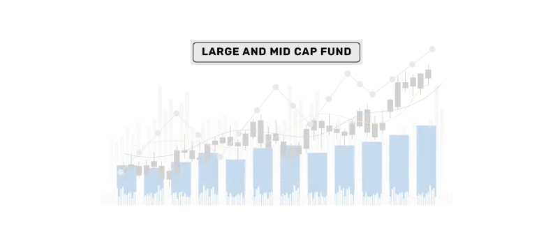 large and mid cap fund