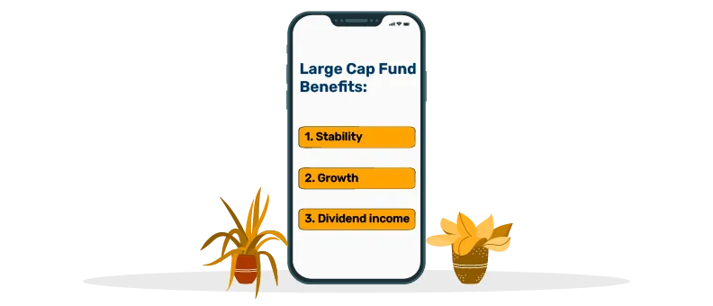 large and mid cap fund 